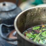 Plante de ayahuasca, sursă naturală de DMT, utilizate în studii pentru tratarea depresiei.