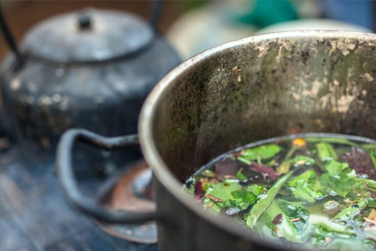 Plante de ayahuasca, sursă naturală de DMT, utilizate în studii pentru tratarea depresiei.