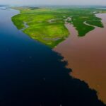 Delta râurilor Fimi și Kasai, o zonă umedă esențială pentru stocarea carbonului terestru, văzută din aer.
