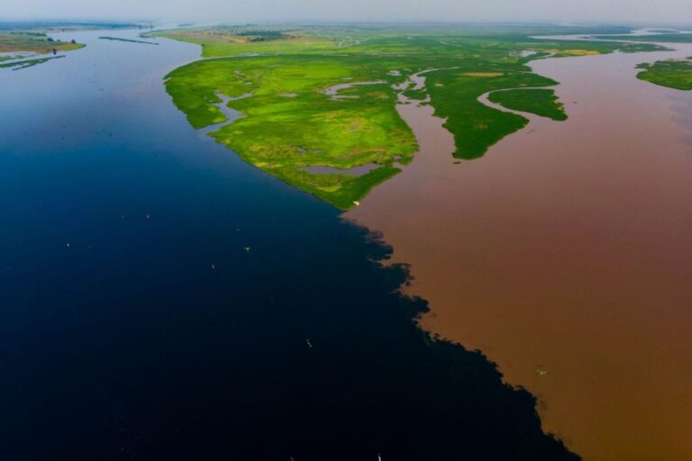 Delta râurilor Fimi și Kasai, o zonă umedă esențială pentru stocarea carbonului terestru, văzută din aer.
